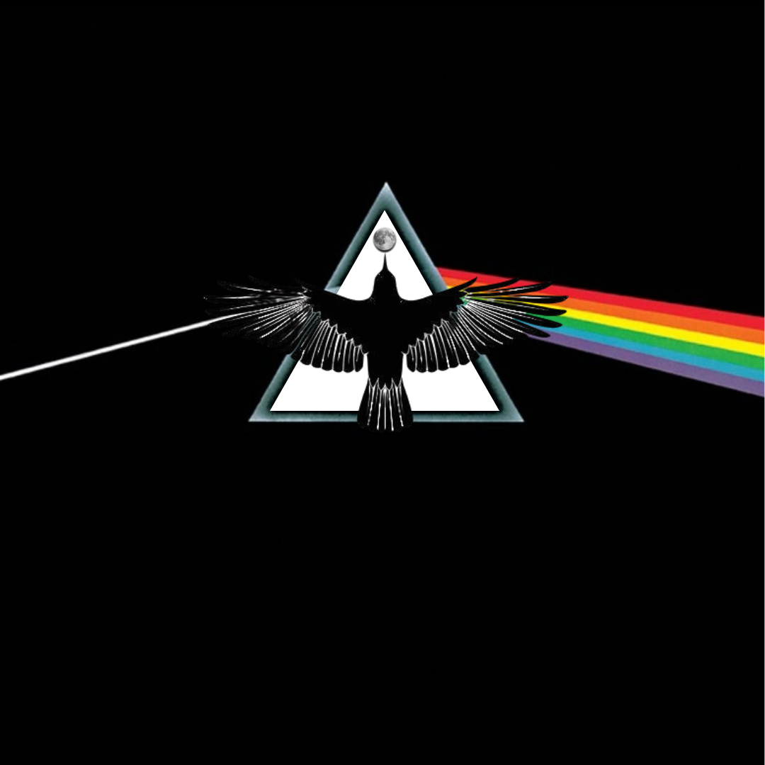 Dark side of the Raven // Women's t-shirt